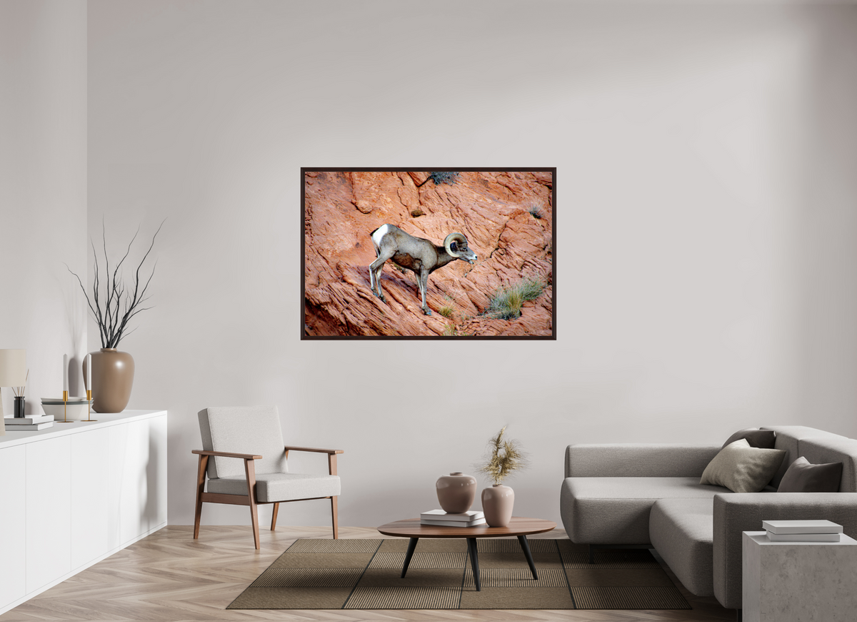 60 x 40″, Dark Brown Wooden Flame under Acrylic glass A Wild Desert Bighorn Sheep in Valley of Fire State Park