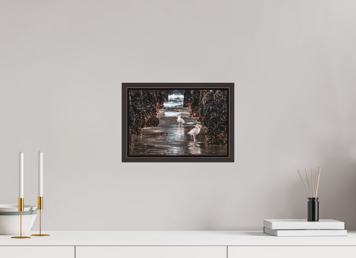 12 x 8″, Alder Brown Wooden Floater Frame Under the Oceanside Pier