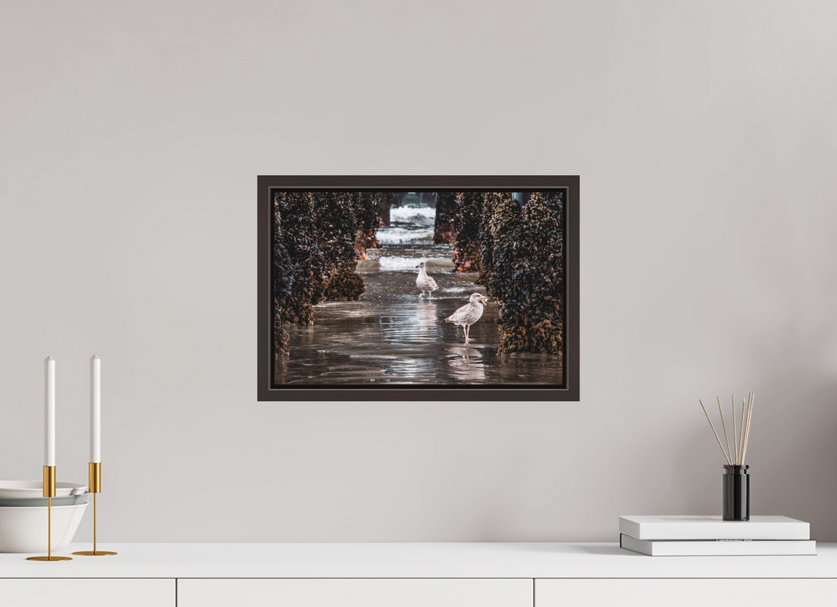 15 x 10″, Alder Brown Wooden Floater Frame Under the Oceanside Pier