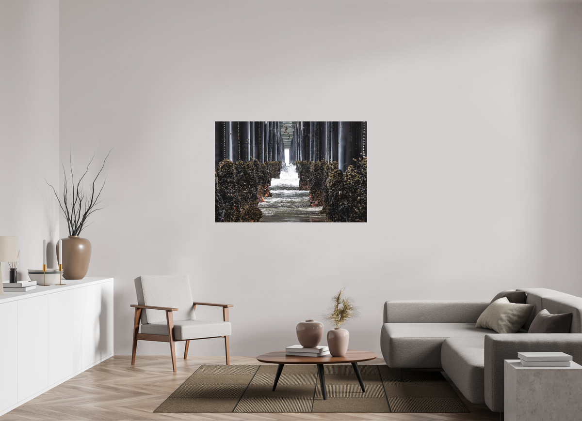 54 x 36″, Fine Art Pigment under Acrylic Glass Under the Oceanside Pier