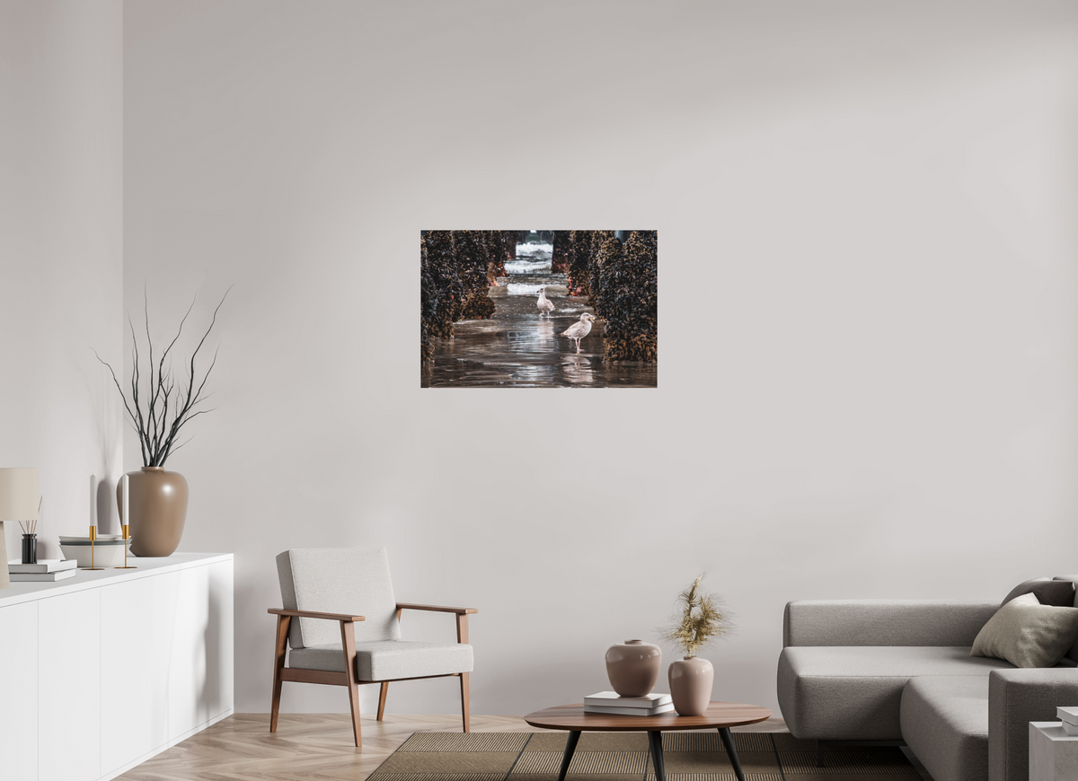 36 x 24″, ChromaLuxe HD Metal Print Under the Oceanside Pier