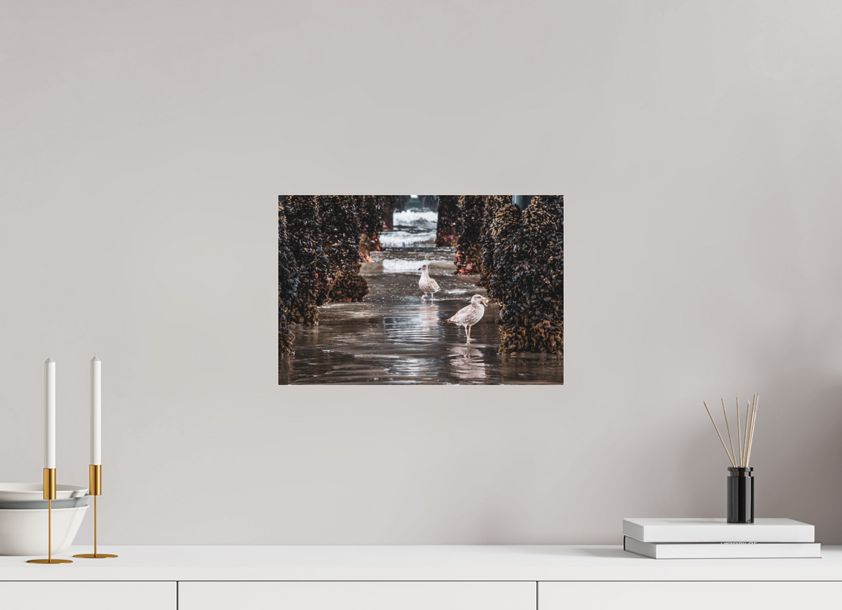 15 x 10″, Metallic Photo Print under Acrylic Glass Under the Oceanside Pier
