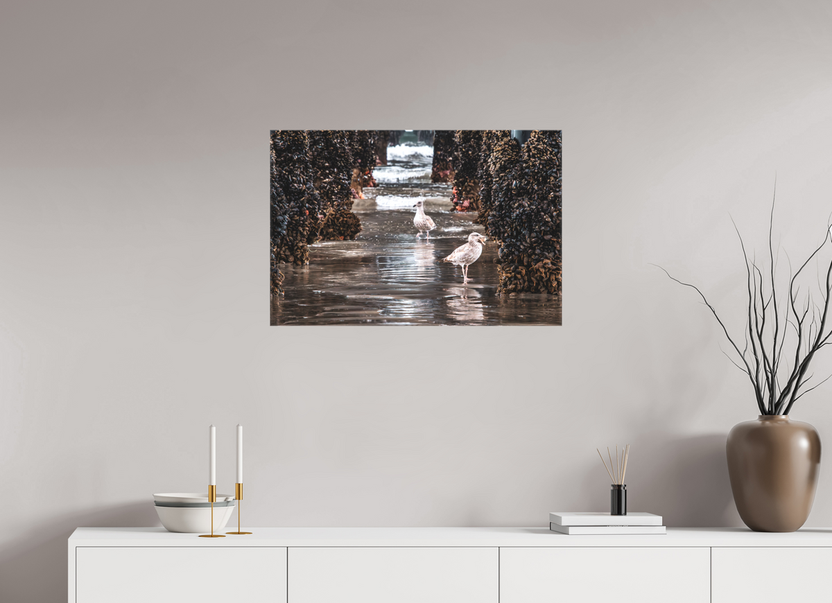 30 x 20″, Glossy Canvas on Stretcher Frame Under the Oceanside Pier