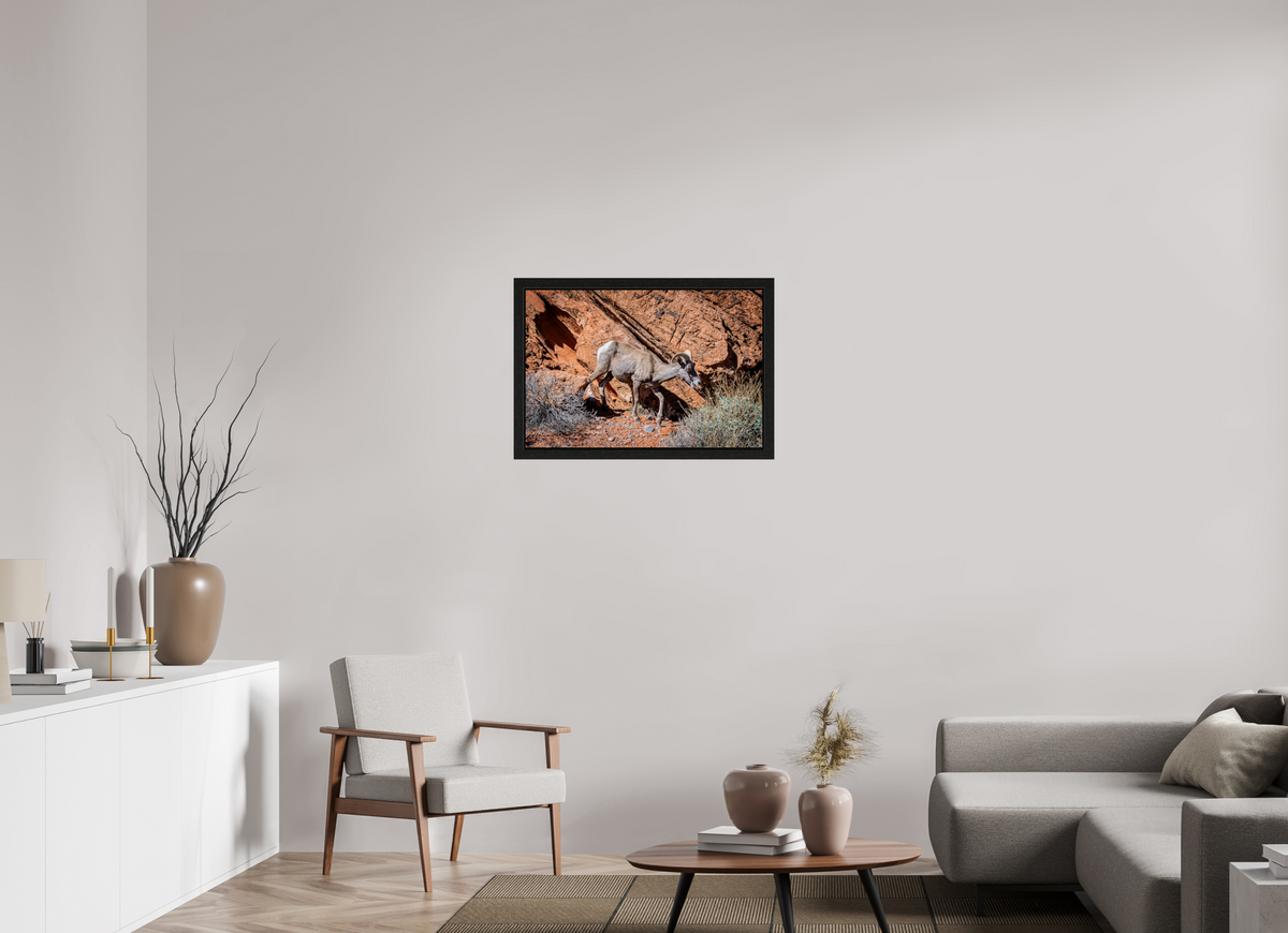 30 x 20″, Black Oak Wooden Flame under Acrylic Glass A Wild Desert Bighorn Sheep in Valley of Fire State Park