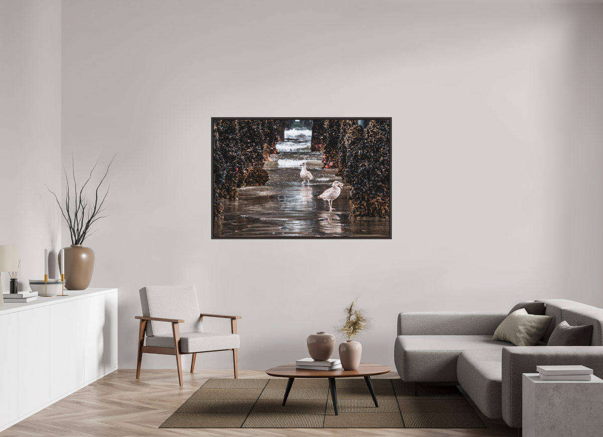 60 x 40″, Alder Brown Wooden Floater Frame Under the Oceanside Pier