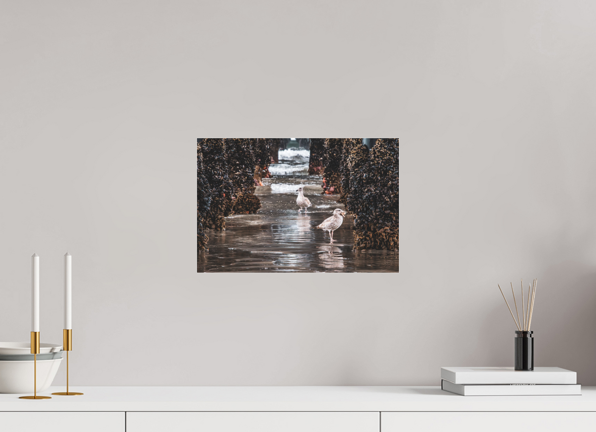 15 x 10″, Photo Print Under Matte Acrylic Glass Under the Oceanside Pier