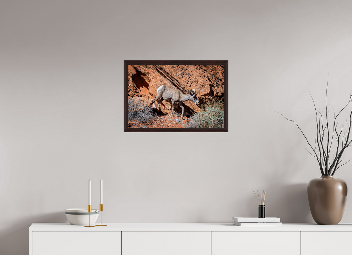 24 x 16″, Dark Brown Wooden Flame under Acrylic glass A Wild Desert Bighorn Sheep in Valley of Fire State Park