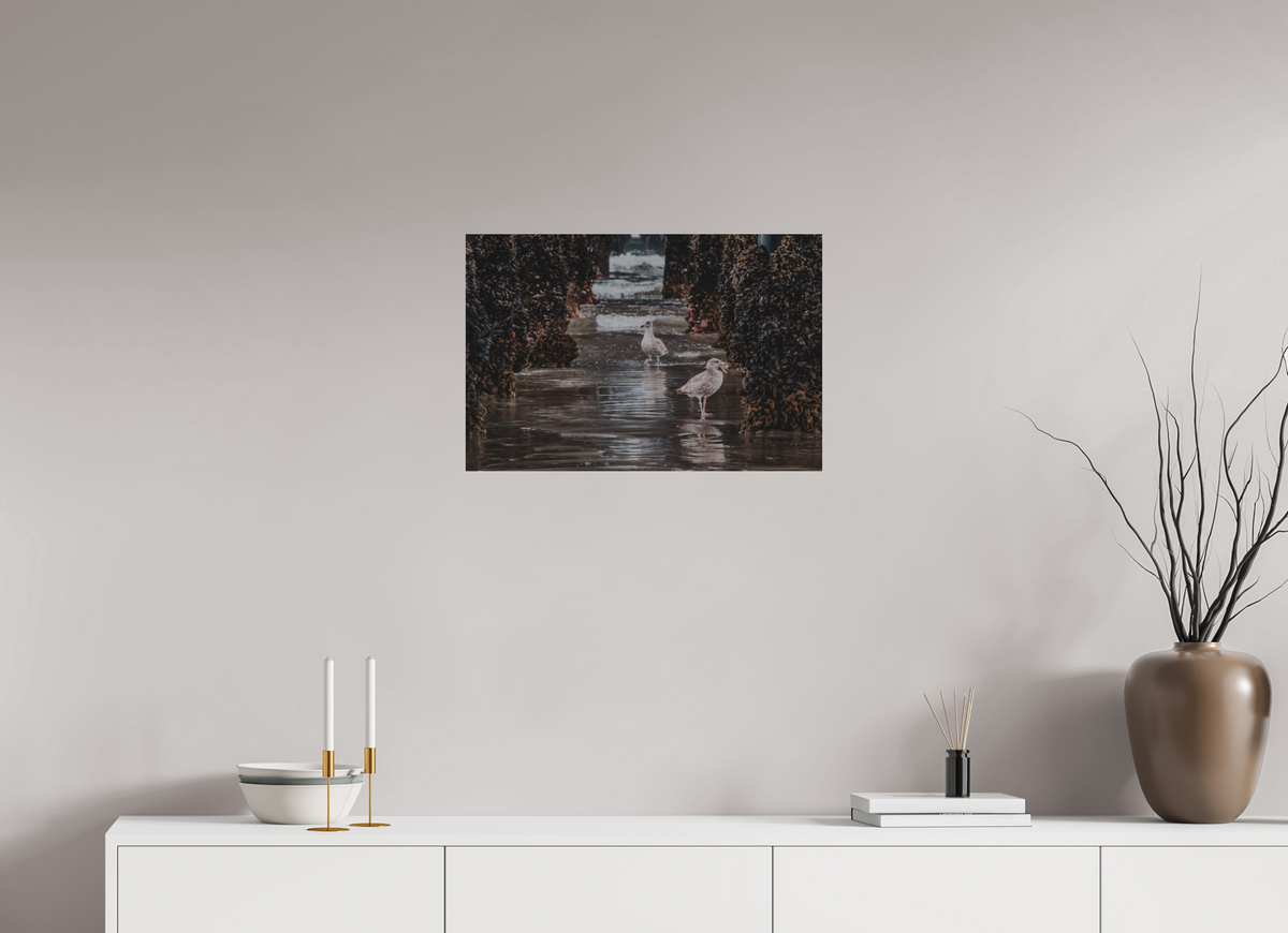 24 x 16″, Direct Print on Brushed Aluminum Under the Oceanside Pier