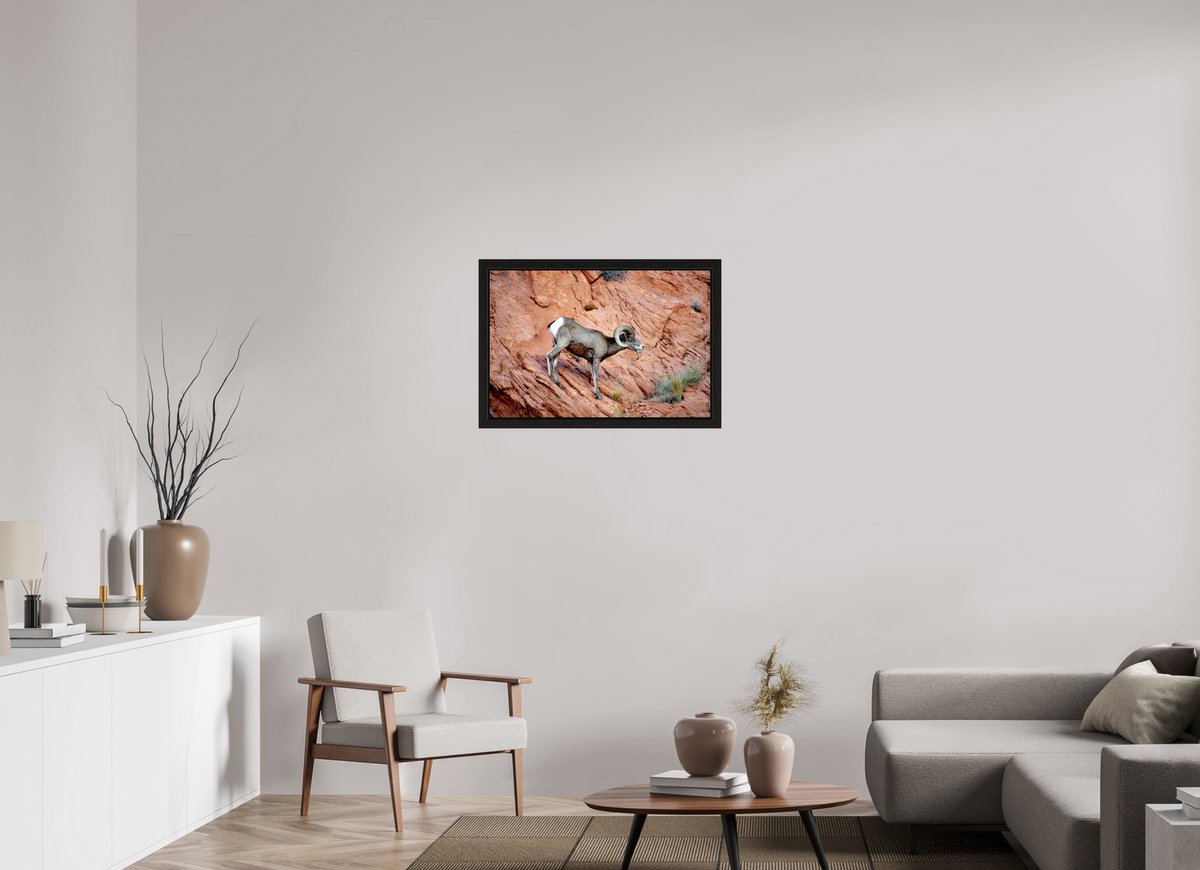 30 x 20″, Black Oak Wooden Flame under Acrylic Glass A Wild Desert Bighorn Sheep in Valley of Fire State Park