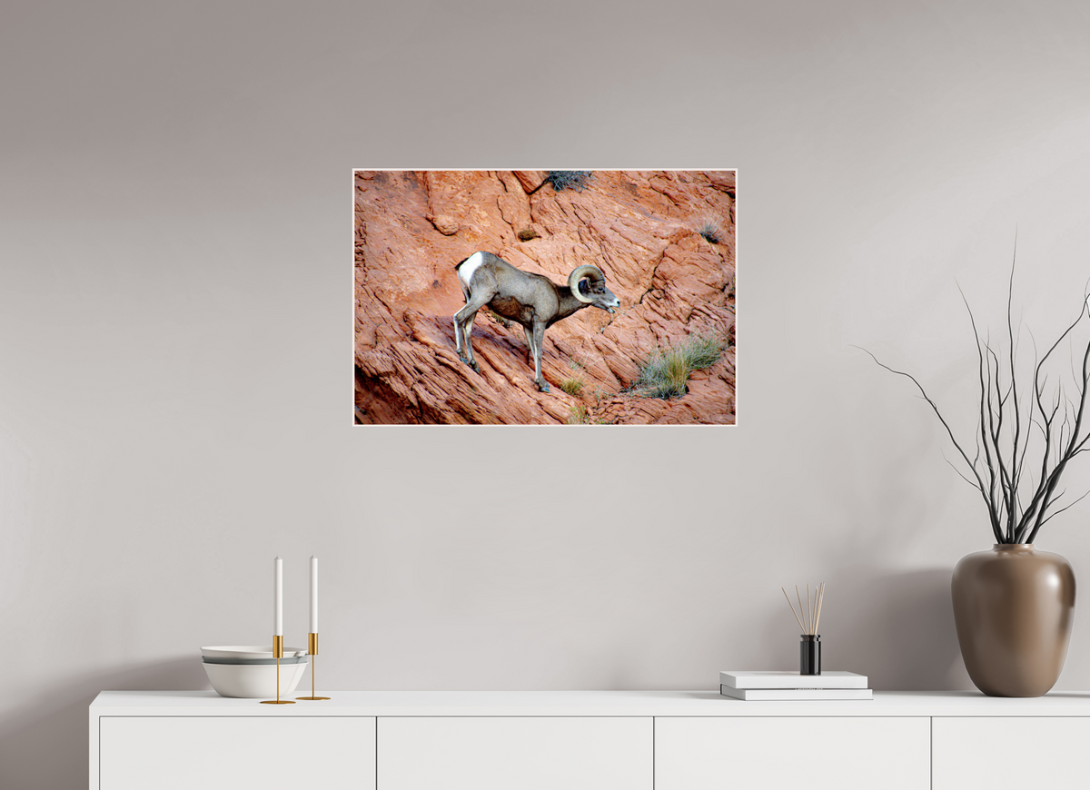 30 x 20″, Solid Wood Artbox A Wild Desert Bighorn Sheep in Valley of Fire State Park