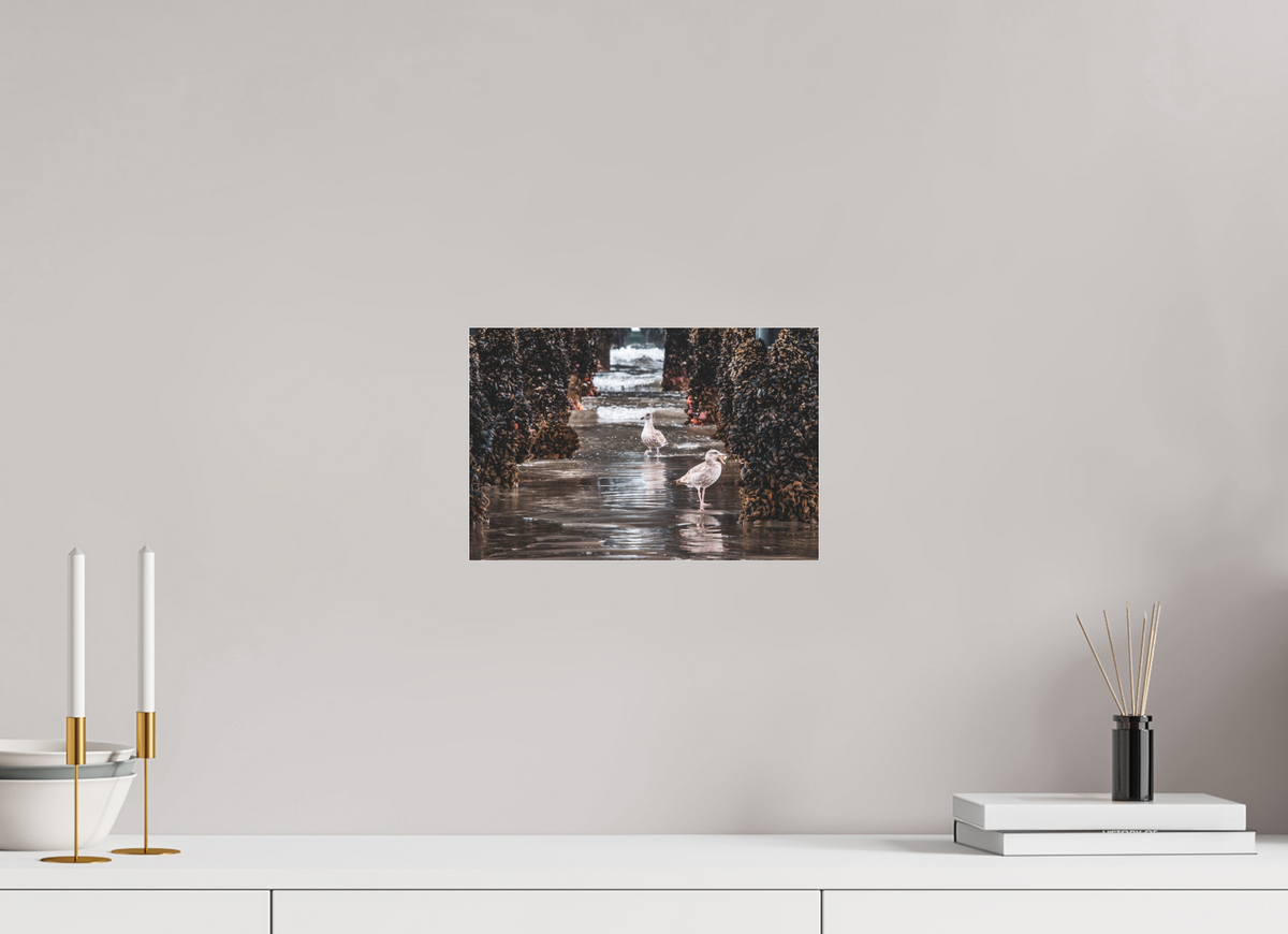 12 x 8″, Photo Print Under Matte Acrylic Glass Under the Oceanside Pier