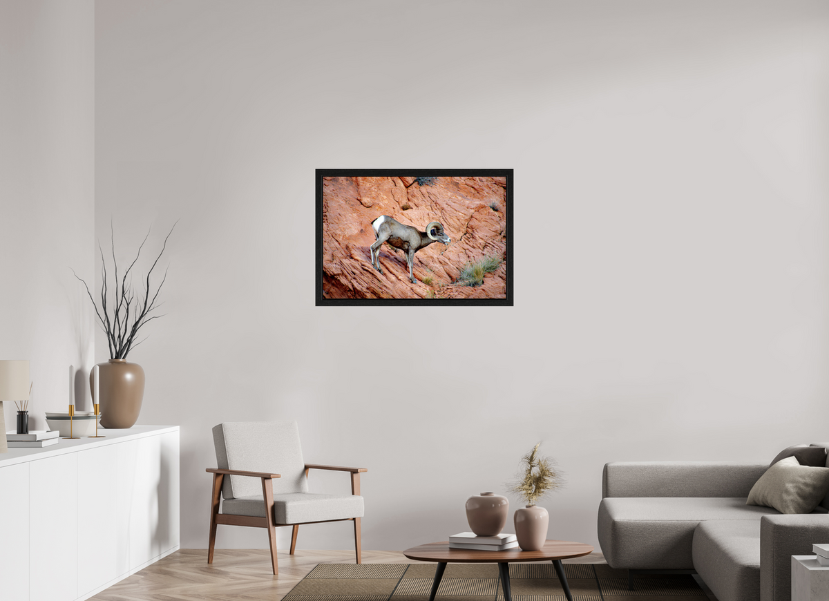 36 x 24″, Black Oak Wooden Flame under Acrylic Glass A Wild Desert Bighorn Sheep in Valley of Fire State Park