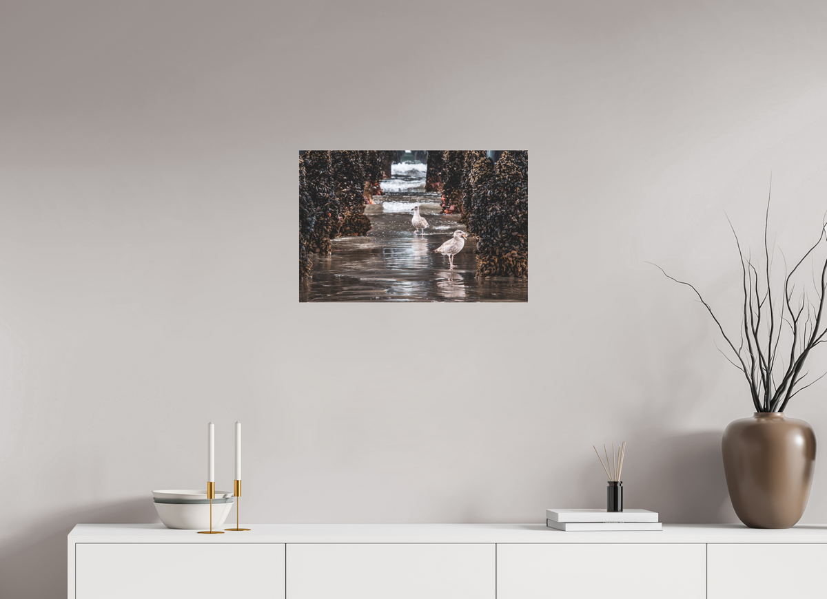 24 x 16″, Photo Print Under Matte Acrylic Glass Under the Oceanside Pier
