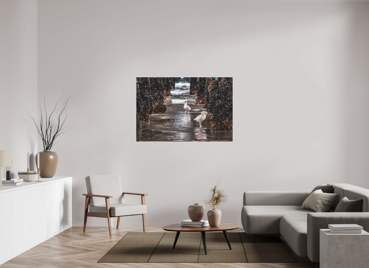 54 x 36″, Fine Art Pigment under Acrylic Glass Under the Oceanside Pier