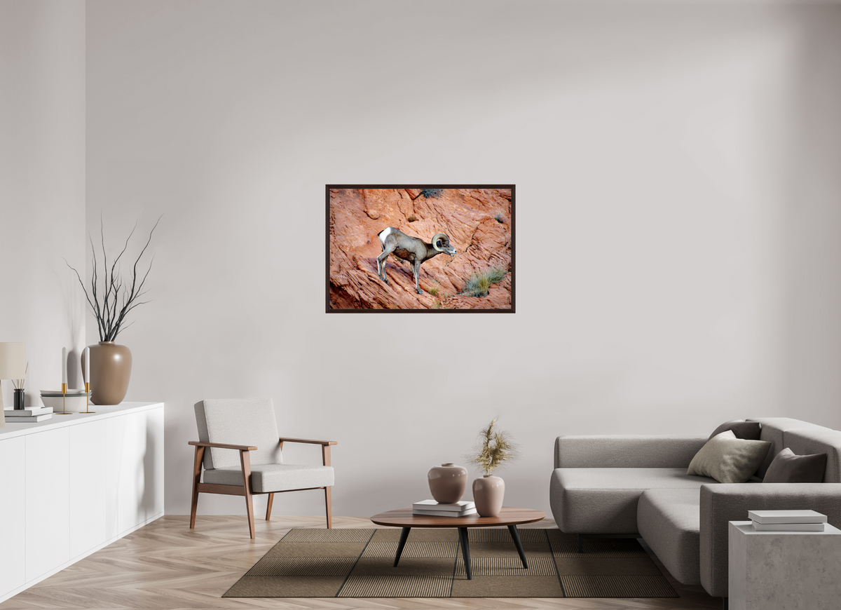 45 x 30″, Dark Brown Wooden Flame under Acrylic glass A Wild Desert Bighorn Sheep in Valley of Fire State Park