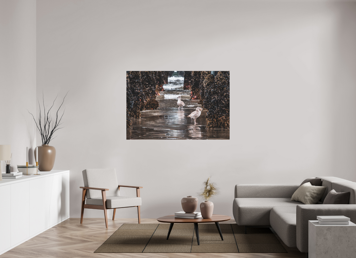 60 x 40″, Fine Art Pigment under Acrylic Glass Under the Oceanside Pier