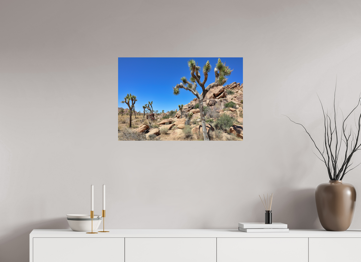 30 x 20″, Fine Art Print on Aluminum Dibond Joshua Trees