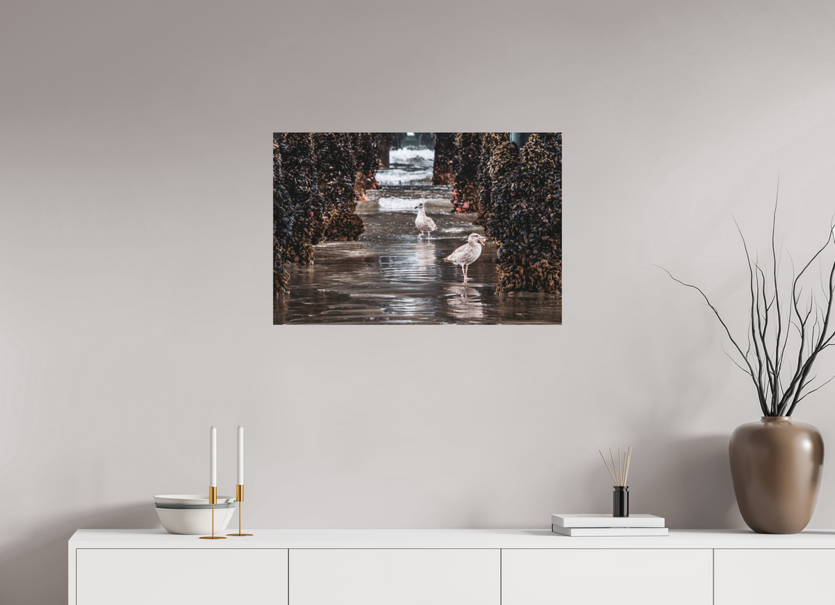 30 x 20″, Fine Art Print on Aluminum Dibond Under the Oceanside Pier