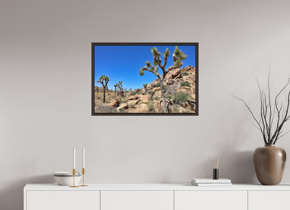 30 x 20″, Alder Brown Wooden Floater Frame Joshua Trees