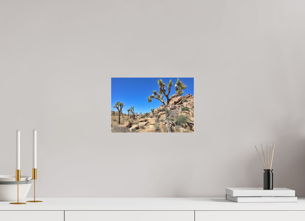 12 x 8″, Photo Print Under Matte Acrylic Glass Joshua Trees