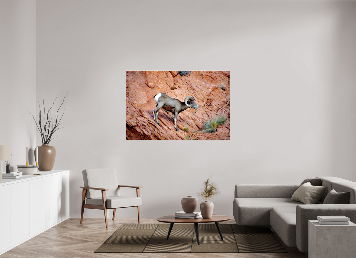 60 x 40″, Solid Wood Artbox A Wild Desert Bighorn Sheep in Valley of Fire State Park