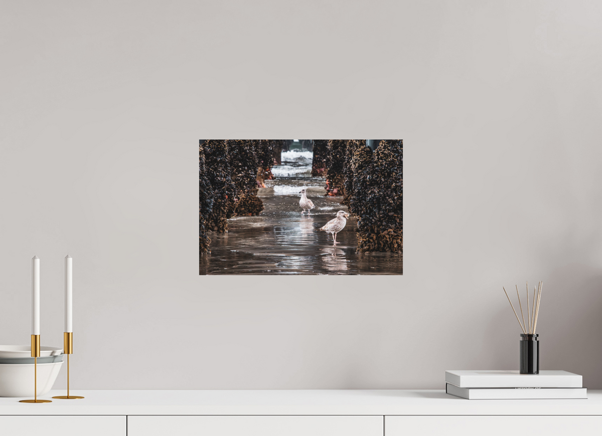 15 x 10″, ChromaLuxe HD Metal Print Under the Oceanside Pier