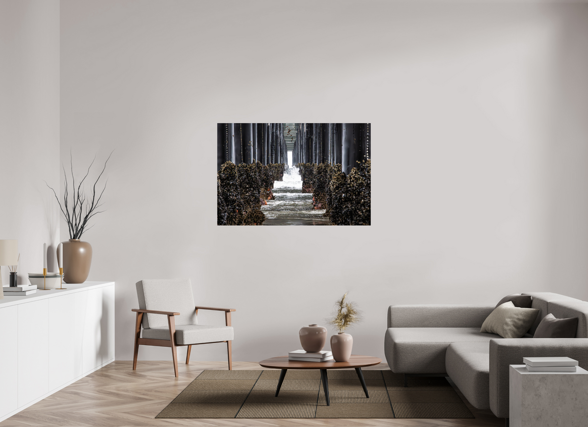 54 x 36″, ChromaLuxe HD Metal Print Under the Oceanside Pier
