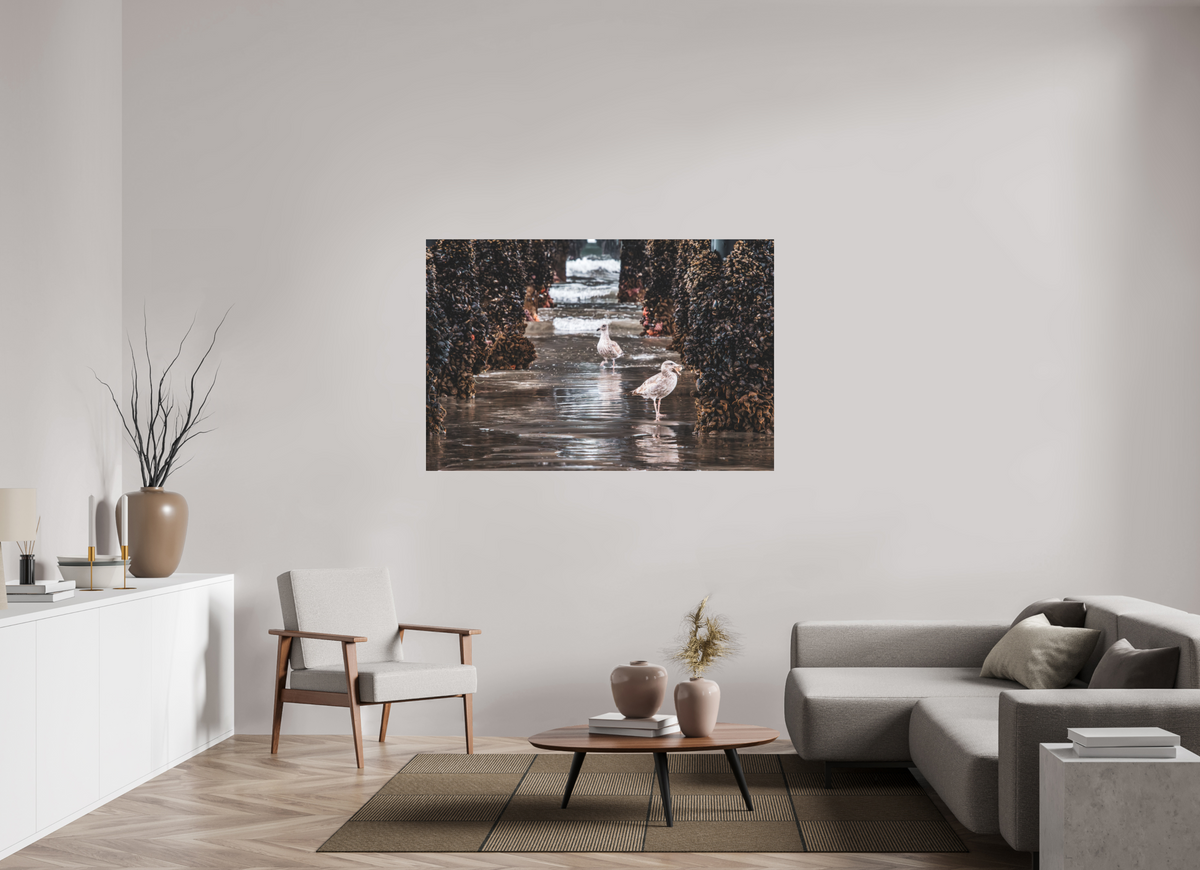 60 x 40″, Photo Print Under Matte Acrylic Glass Under the Oceanside Pier