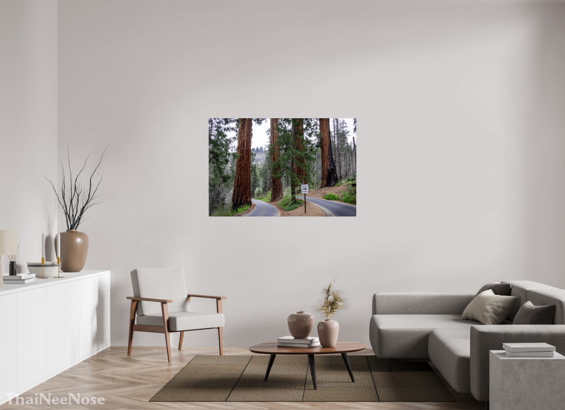 54 x 36″, ChromaLuxe HD Metal Print Sequoia Trees